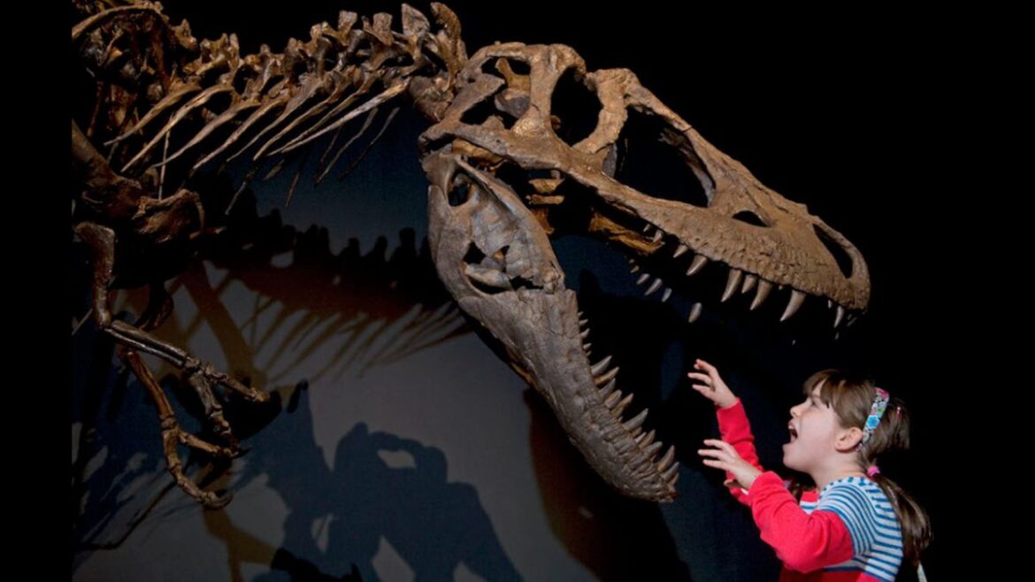 Dino Expo xxl Madrid diversa radio
